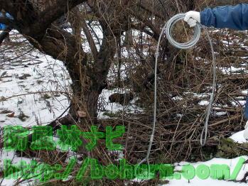 台付けワイヤー