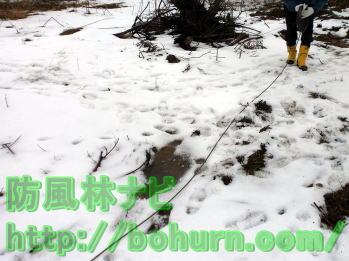 ワイヤーを広げる