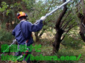 はしごの継ぎ足し