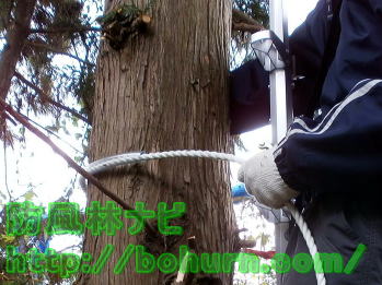 U字吊り安全帯の使用