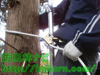 安全帯の長さ調整