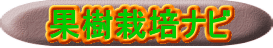 果樹栽培ナビ