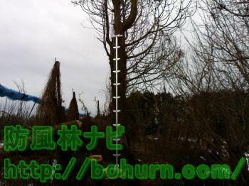 伐採木の重量調整