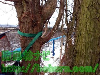 牽引スリングの設置