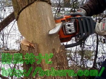 チェンソーを用いた伐採方法