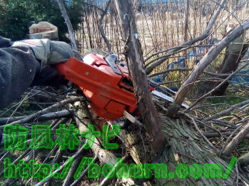 枝を安全に払える場所