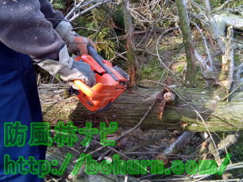 残りの枝を払う