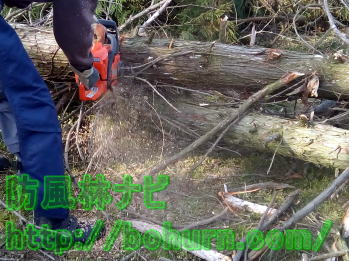 丸太を小分けにする