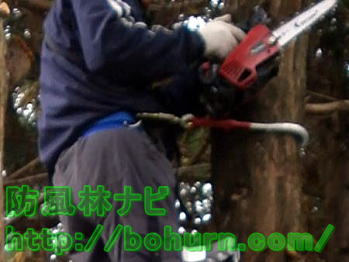 作業体制の確保