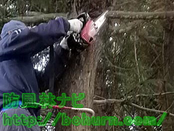 チェンソー使用