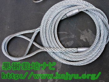 玉賭けワイヤー