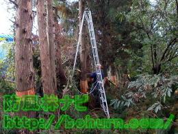 園芸用アルミ三脚