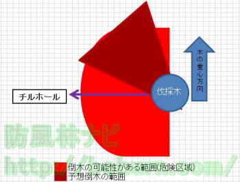 チルホールによる伐採作業の安全確保と倒木方向(基本編）