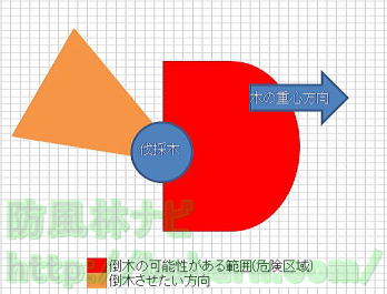 木の重心による倒木方向