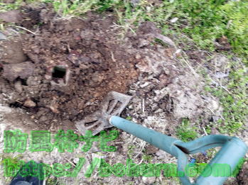 吊り具固定箇所の露出